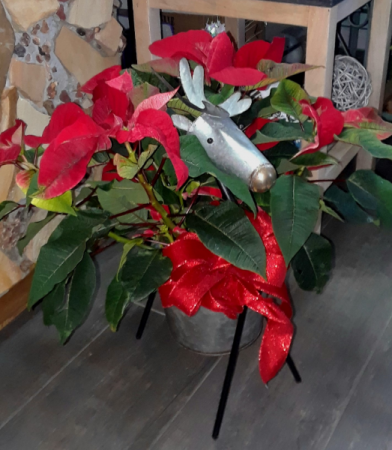 Reindeer Planter with Poinsettia 