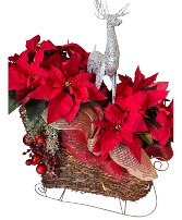 Reindeer Sleigh Potted Plants