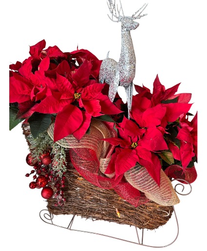 Reindeer Sleigh Potted Plants