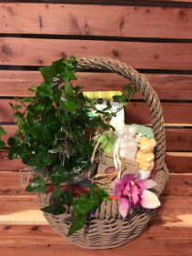 Relax with Nature  Plant and Gift Basket Combo 