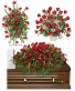 Purchase this funeral home arrangement