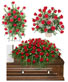 Purchase this funeral home arrangement