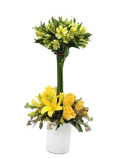 Renacer de Primavera Everyday Occasion Arrangement