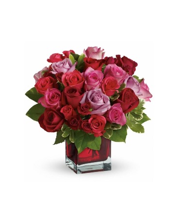 Rendezvouz Roses  in Frederick, MD | Maryland Florals Rendezvouz Roses  in Frederick, MD | Maryland Florals