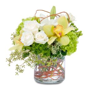 Renewed Promise Arrangement in Fort Smith, AR | EXPRESSIONS FLOWERS, LLC Renewed Promise Arrangement in Fort Smith, AR | EXPRESSIONS FLOWERS, LLC