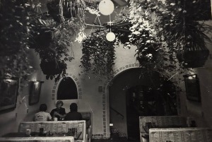 Restaurant Plants Plant Maintenance