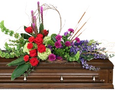 Category Image