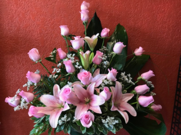 Resting in Grace Stateroom available in pink, white, yellow, or orange