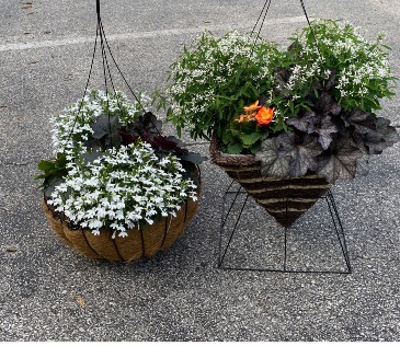 Reusable Hanging Baskest Hanging Basket in Iowa City, IA | Every Bloomin' Thing