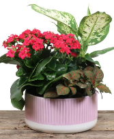 Ripple Planter 