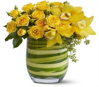 Rising Sun in Fort Lauderdale, FL | ENCHANTMENT FLORIST Rising Sun in Fort Lauderdale, FL | ENCHANTMENT FLORIST