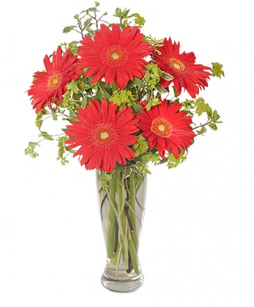 RITZY RED GERBERAS Flower Arrangement in Warman, SK | QUINN & KIM'S FLOWERS