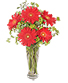 RITZY RED GERBERAS Flower Arrangement