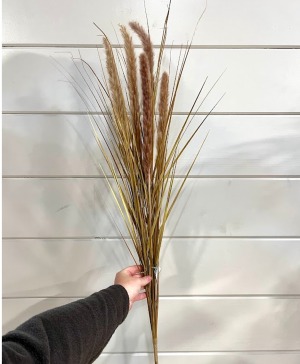 River Pompass silk stem
