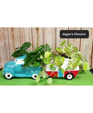 Road Trip! Truck and Camper Planter Set Designer's Choice Green Plant