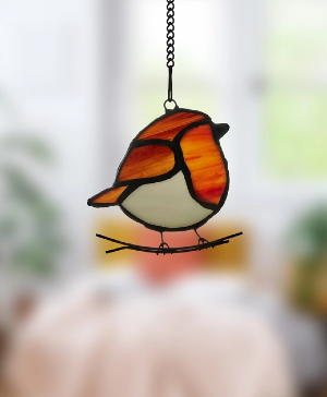 Robin Stained Glass