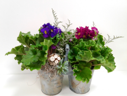 Robin's Caddy Blooming Serene Garden Collection