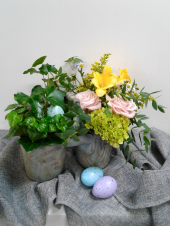 Robin's Caddy Fresh&Plant Combo Serene Garden Collection
