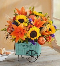 Roma florist  Harvest Garden Cart 