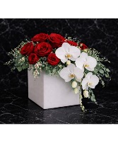 Romance Kiss  Valentine's Day