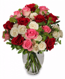 Romance Of Roses Spray Roses