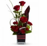 Romance Roses Valentine
