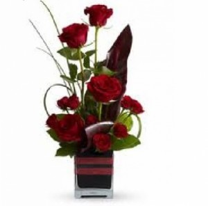 Romance Roses Valentine"s Day