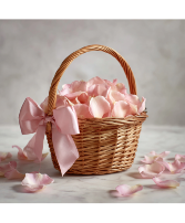 Romantic Blush Line Flower Girl Basket 
