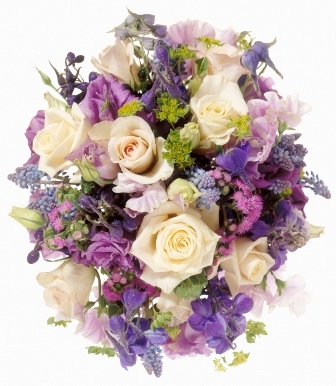 Romantic Melody 68.00 78.00 88.00