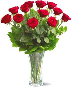 ROMANTIC MOMENTS ROSE ARRANGEMENT