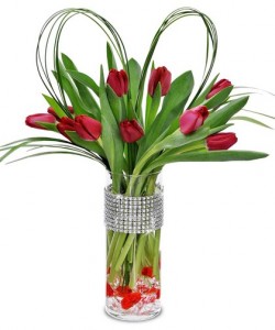 Romantic Red Tulips 