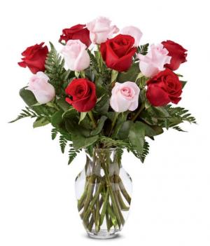 Romantic Rose Masterpiece 12 Mixed Roses