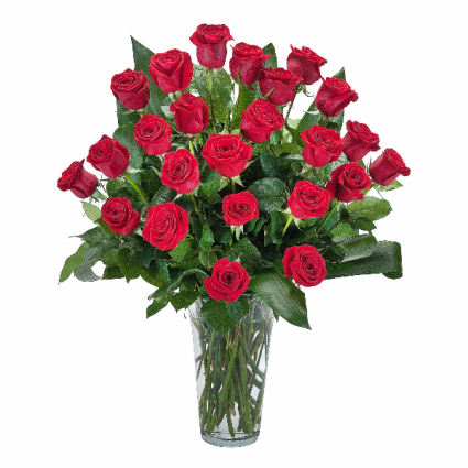 Romantic Roses Two Dozen Roses 
