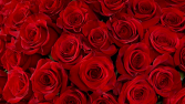 Romantic Valentine's Day Arrangement