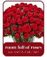 Room Full of 100 Roses 