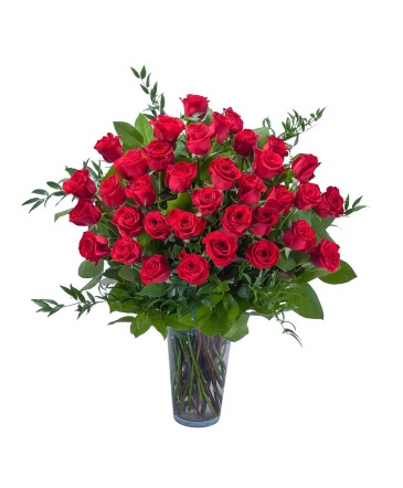 Room Full Of Roses - 3 Dozen Roses Arrangement in Aberdeen, SD | THE BOSTON FERN