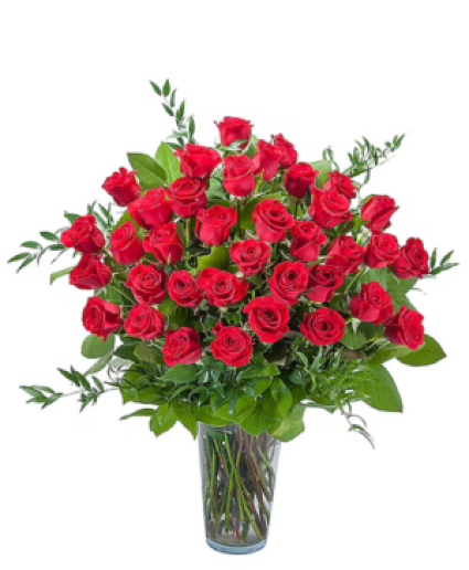 Room Full of Roses - 3 Dozen Roses Arrangement