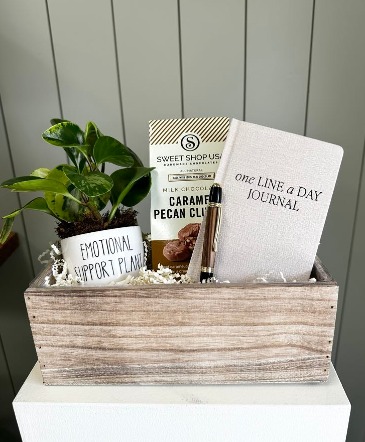 Rooted in Kindness in Frisco, TX | PATTI ANN'S FLOWERS Rooted in Kindness in Frisco, TX | PATTI ANN'S FLOWERS