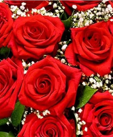 Rooting for you- Red roses in Temple, TX | PRECIOUS MEMORIES FLORIST & GIFTS