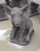 Rooting Pig~$65.00 