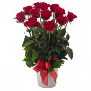Rosa Red  Red rose vase arrangement