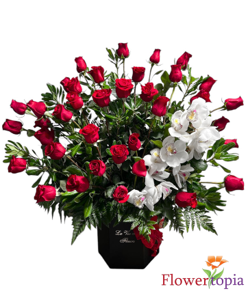 Rosalie Arreglo de Rosas y Orquideas in Miami, FL | FLOWERTOPIA