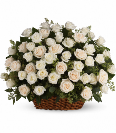 Rose Abundance Roses