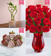 Rose Arrangement & Chocolate coated strawberry 