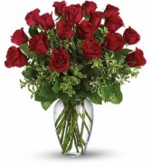 My True Love 2 Dozen Red Ecuadorian Premium Long Stem Roses 