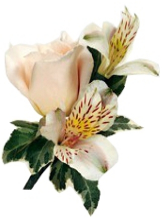 ROSE & ASTROMERIA BOUTONNIERE