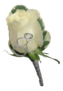 Category Image