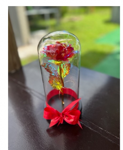 rose beauty and the beast rose in glass jar