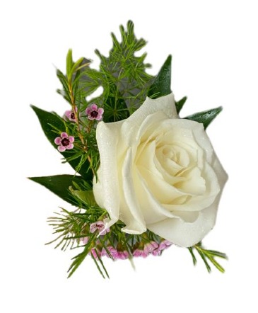 Rose Boutonniere  in Merrimack, NH | Amelia Rose Florals