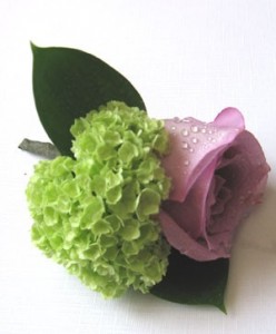 rose boutonniere lav. rose and hydrangea